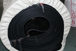 環(huán)形輸送帶